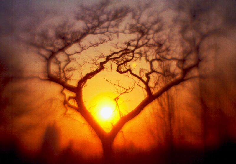 Central Park sunset - by Tony Karp