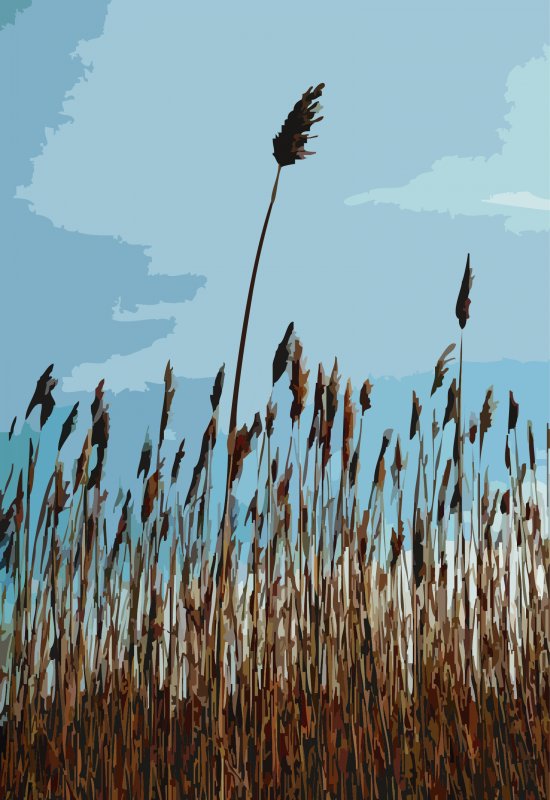 Tall reeds at Cape May - by Tony Karp