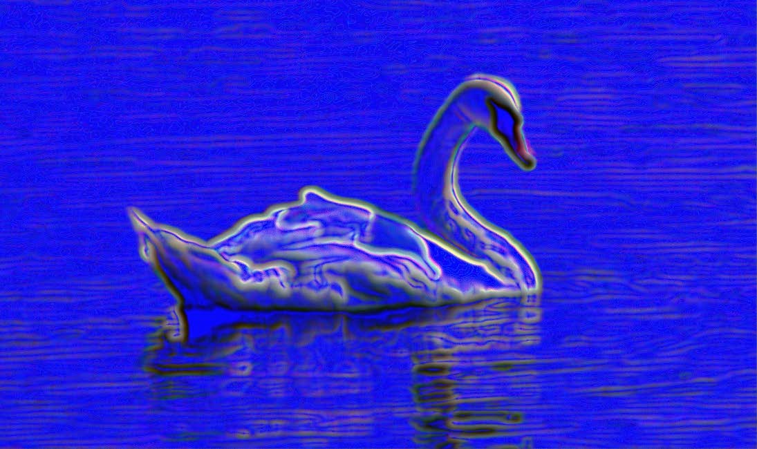 electric swan - by Tony Karp
